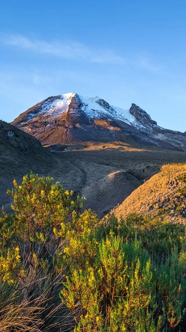 Pico nevado de la Sierra Nevada del Cocuy sobre el páramo, con frailejones en primer plano
