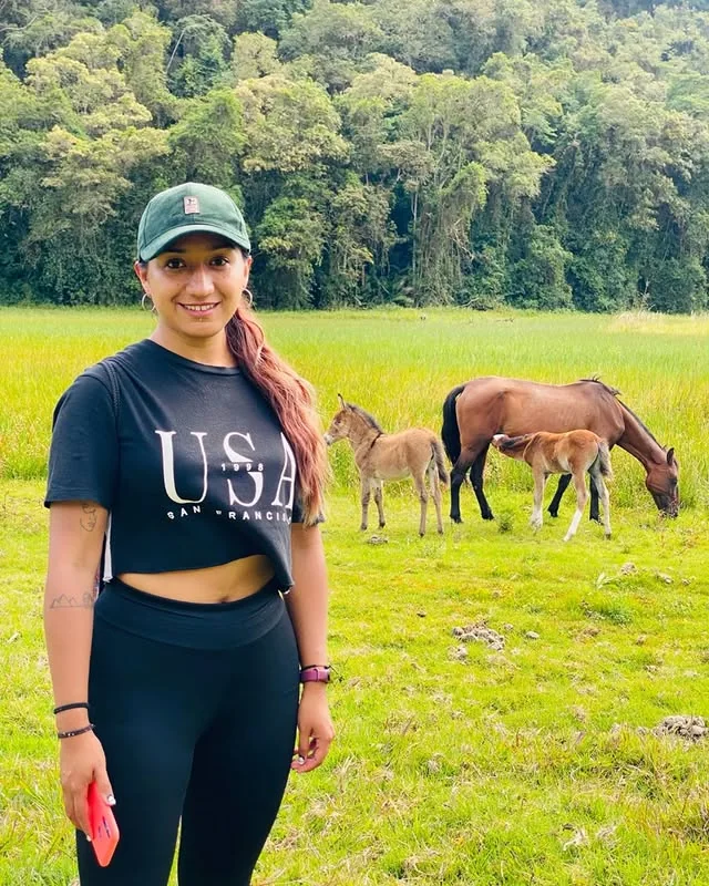 Valle de Toche, camino a la palma de cera, con caballos pastando frente a la selva andina del Tolima